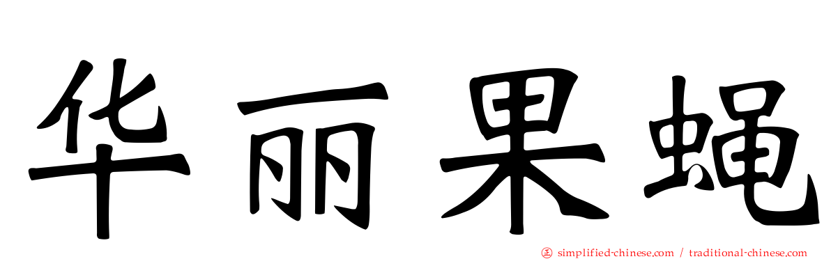 华丽果蝇