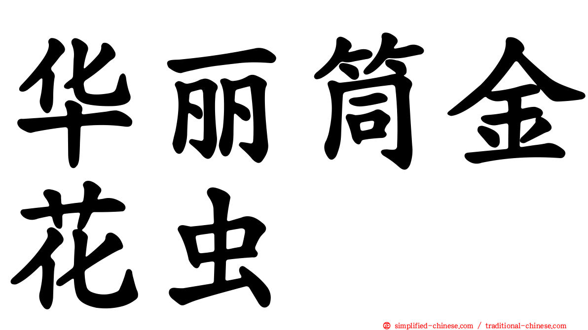 华丽筒金花虫