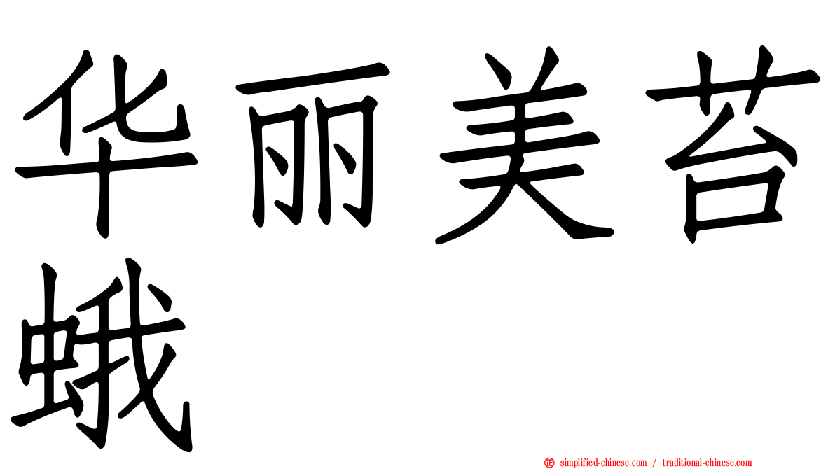 华丽美苔蛾