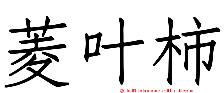 菱叶柿