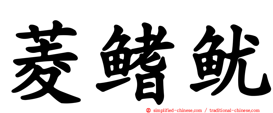 菱鳍鱿