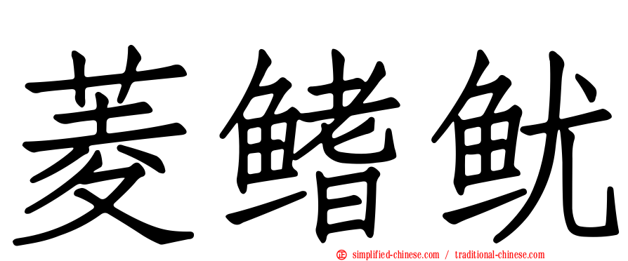 菱鳍鱿