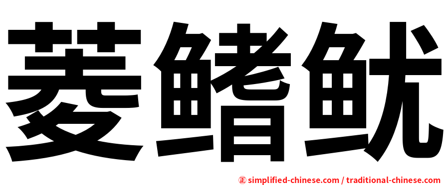菱鳍鱿