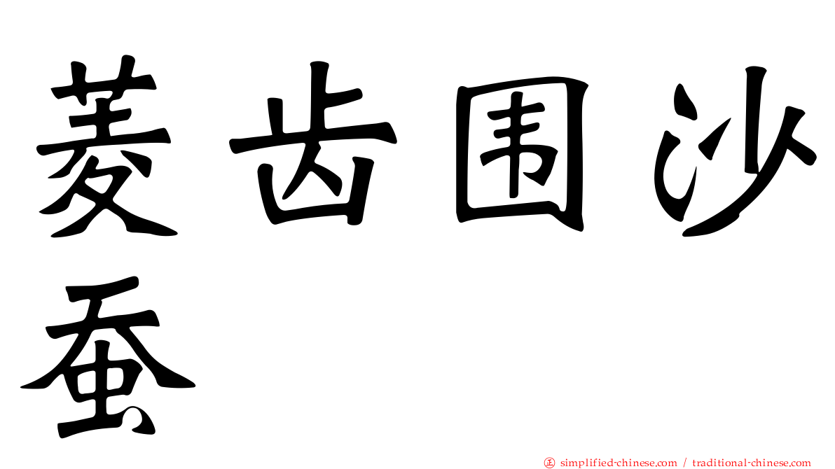 菱齿围沙蚕