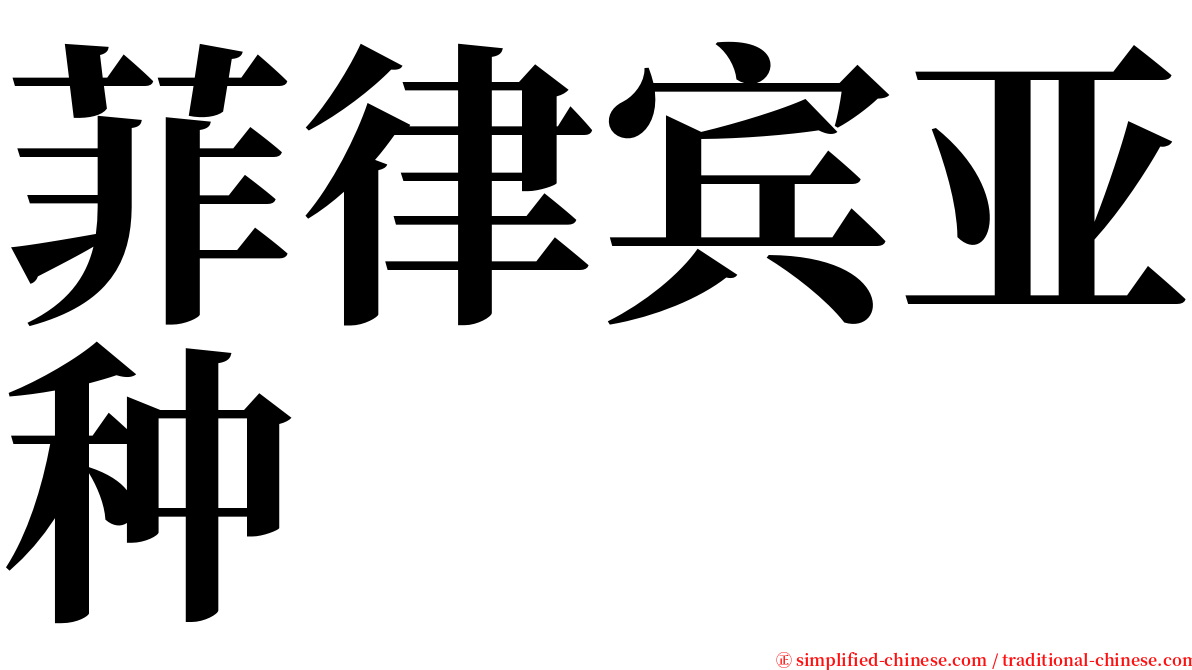 菲律宾亚种 serif font