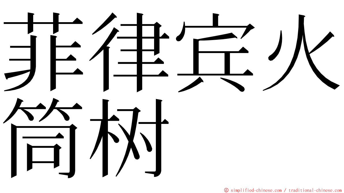 菲律宾火筒树 ming font