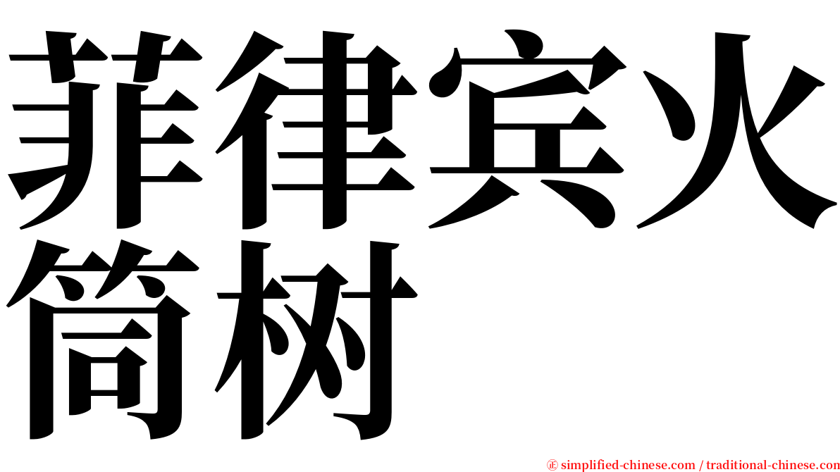 菲律宾火筒树 serif font