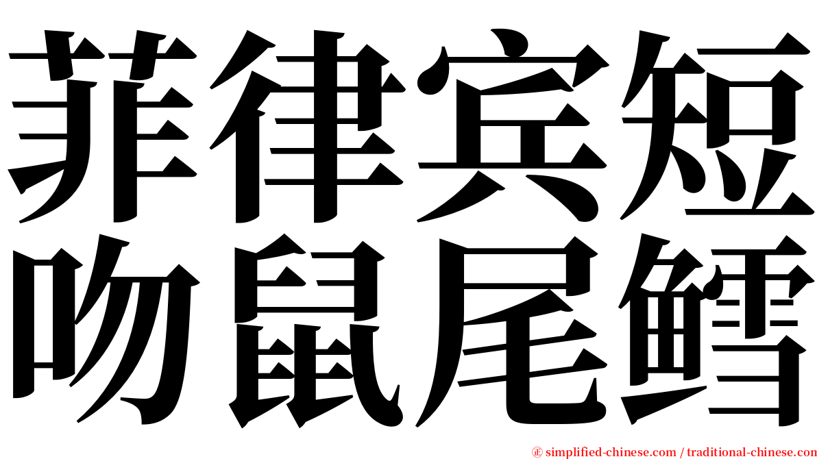 菲律宾短吻鼠尾鳕 serif font