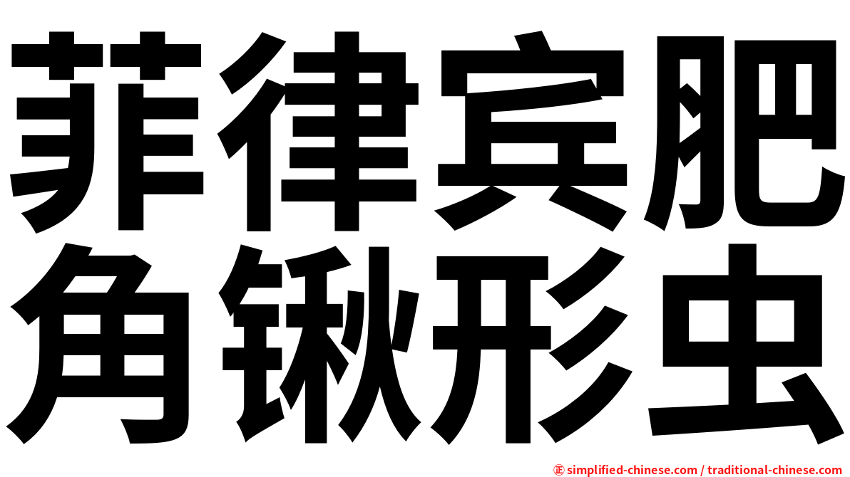 菲律宾肥角锹形虫