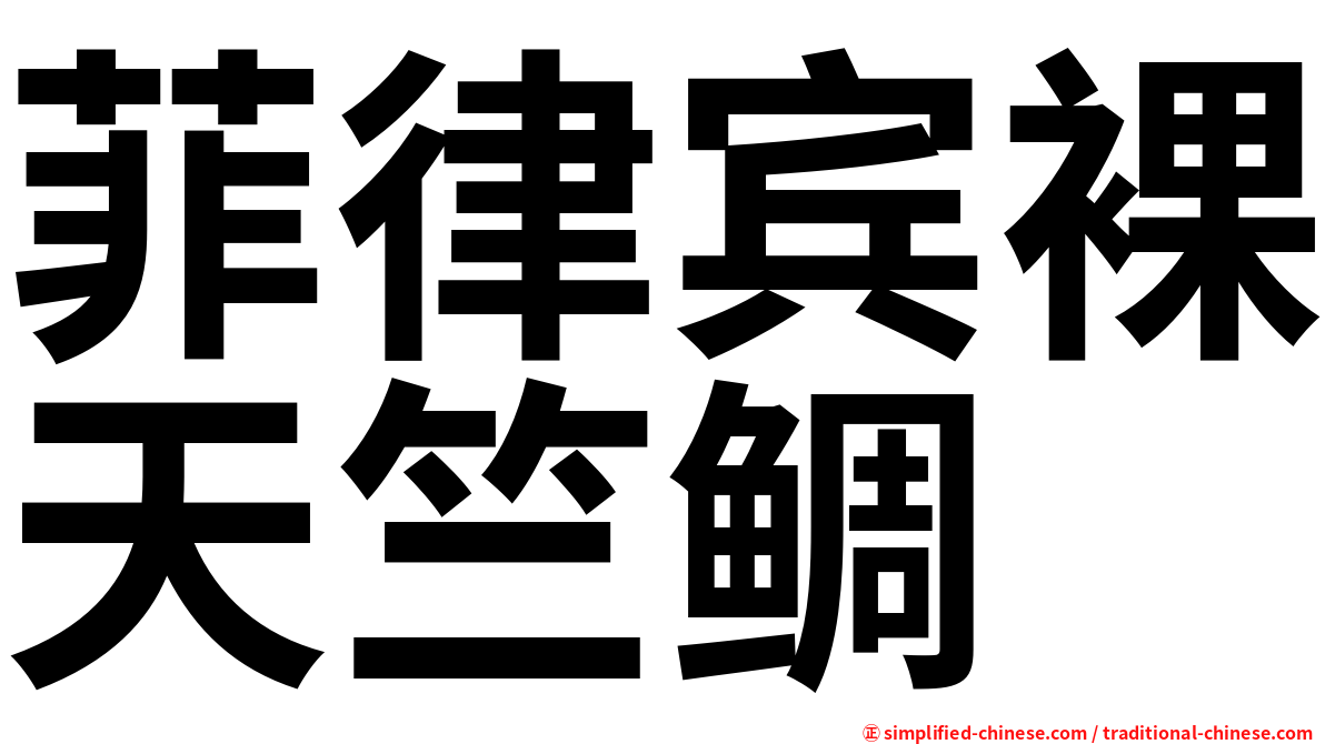 菲律宾裸天竺鲷