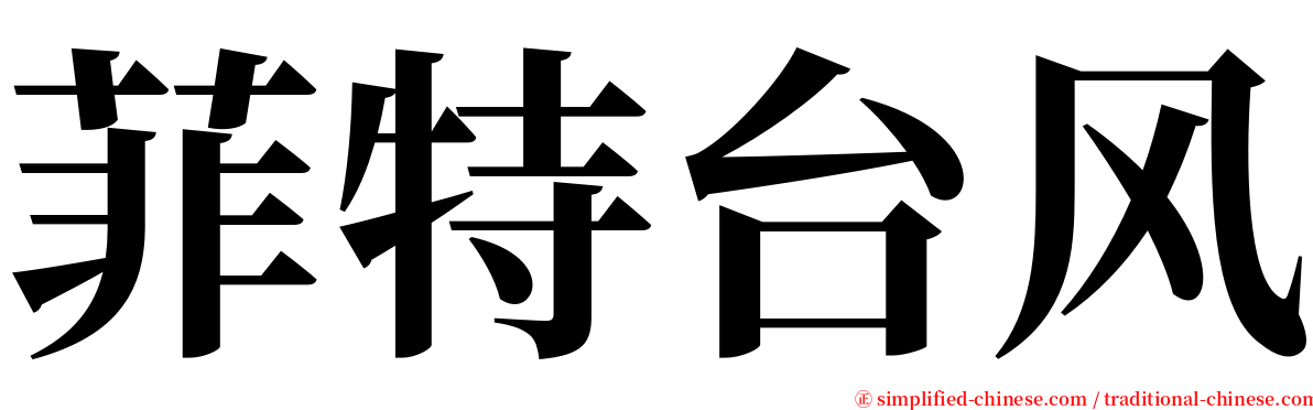菲特台风 serif font