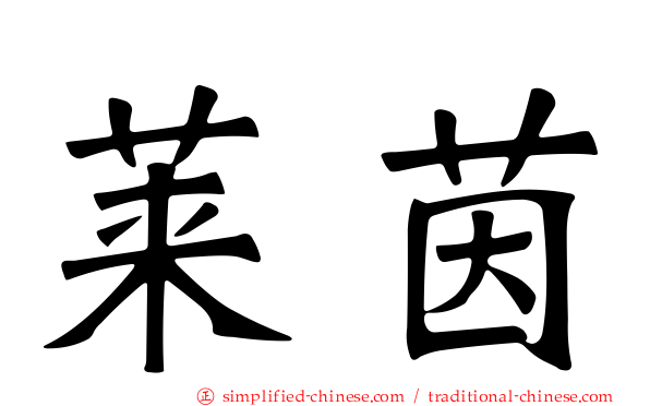 莱茵