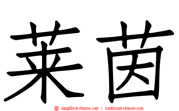 莱茵