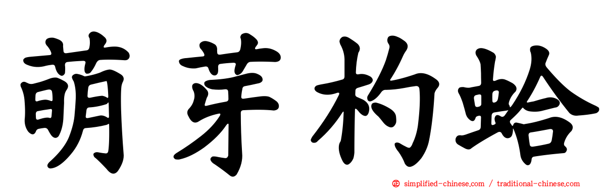 萌芽杓蛤