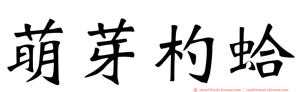 萌芽杓蛤