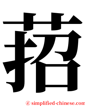萔 serif font