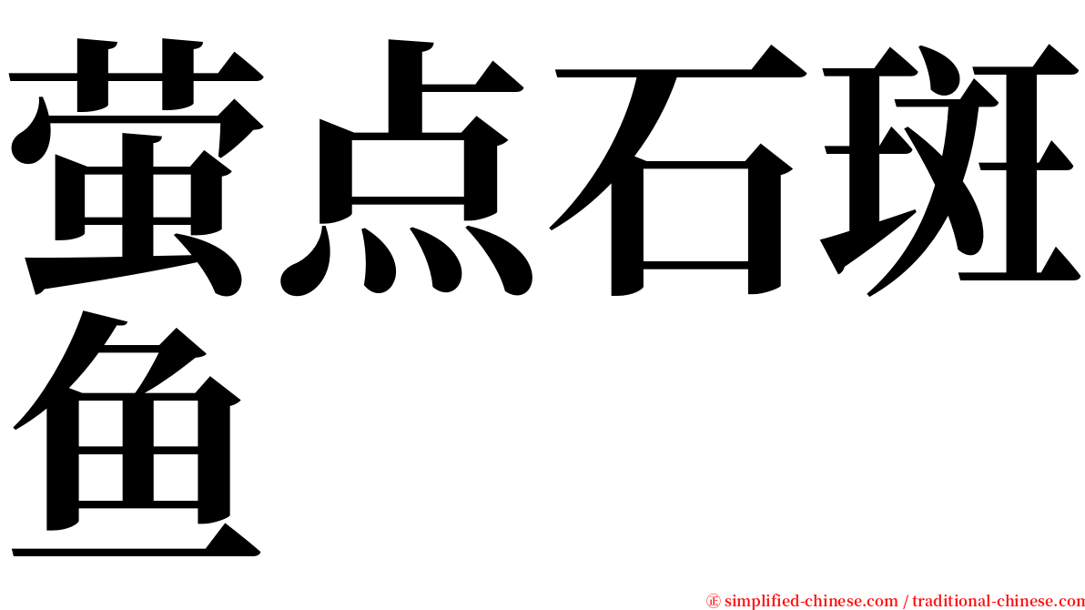萤点石斑鱼 serif font