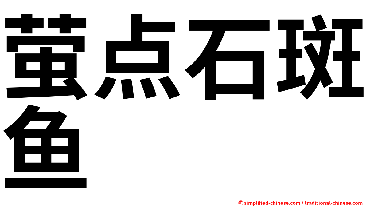 萤点石斑鱼
