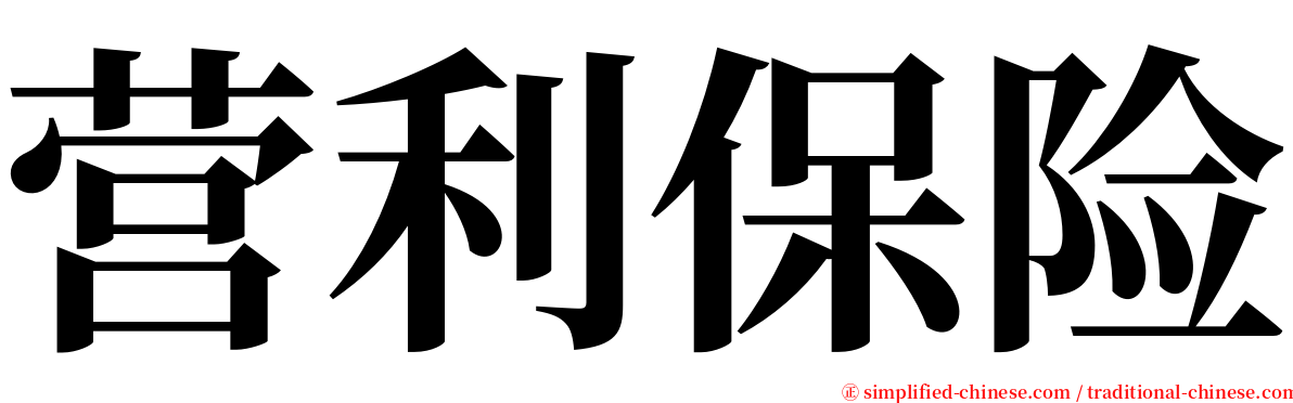 营利保险 serif font