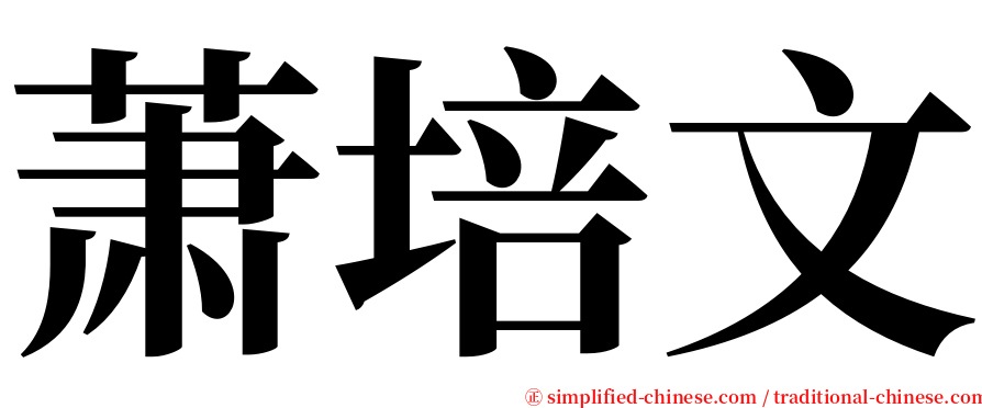 萧培文 serif font