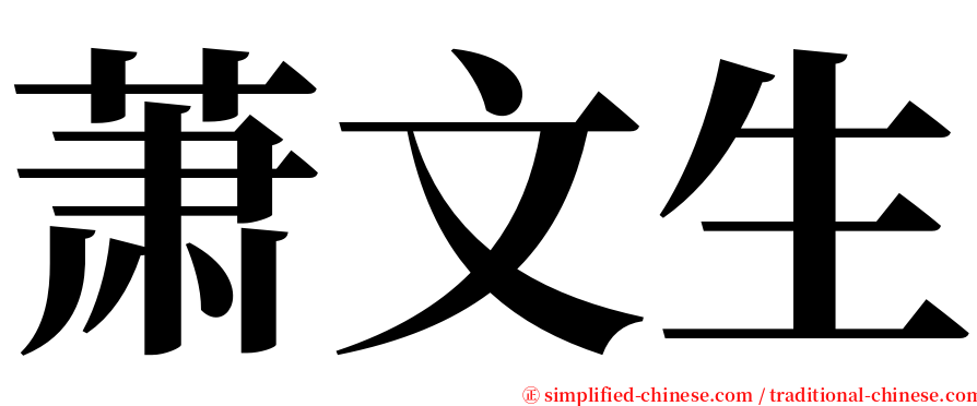 萧文生 serif font
