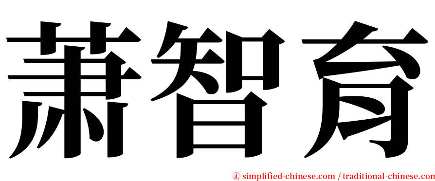 萧智育 serif font