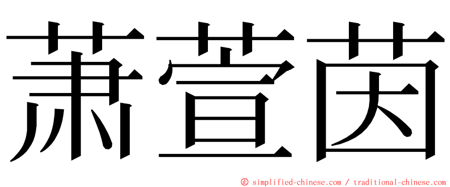 萧萱茵 ming font