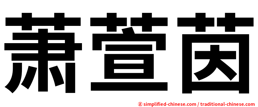 萧萱茵