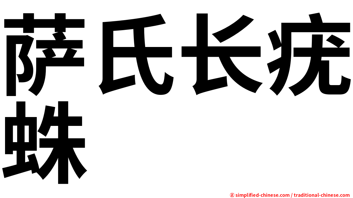 萨氏长疣蛛