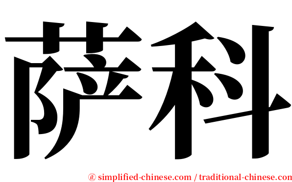 萨科 serif font