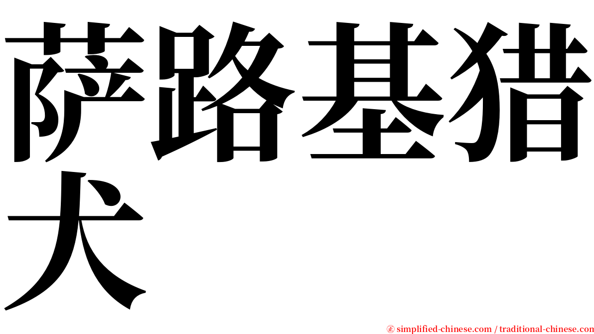 萨路基猎犬 serif font