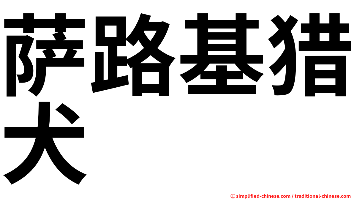 萨路基猎犬