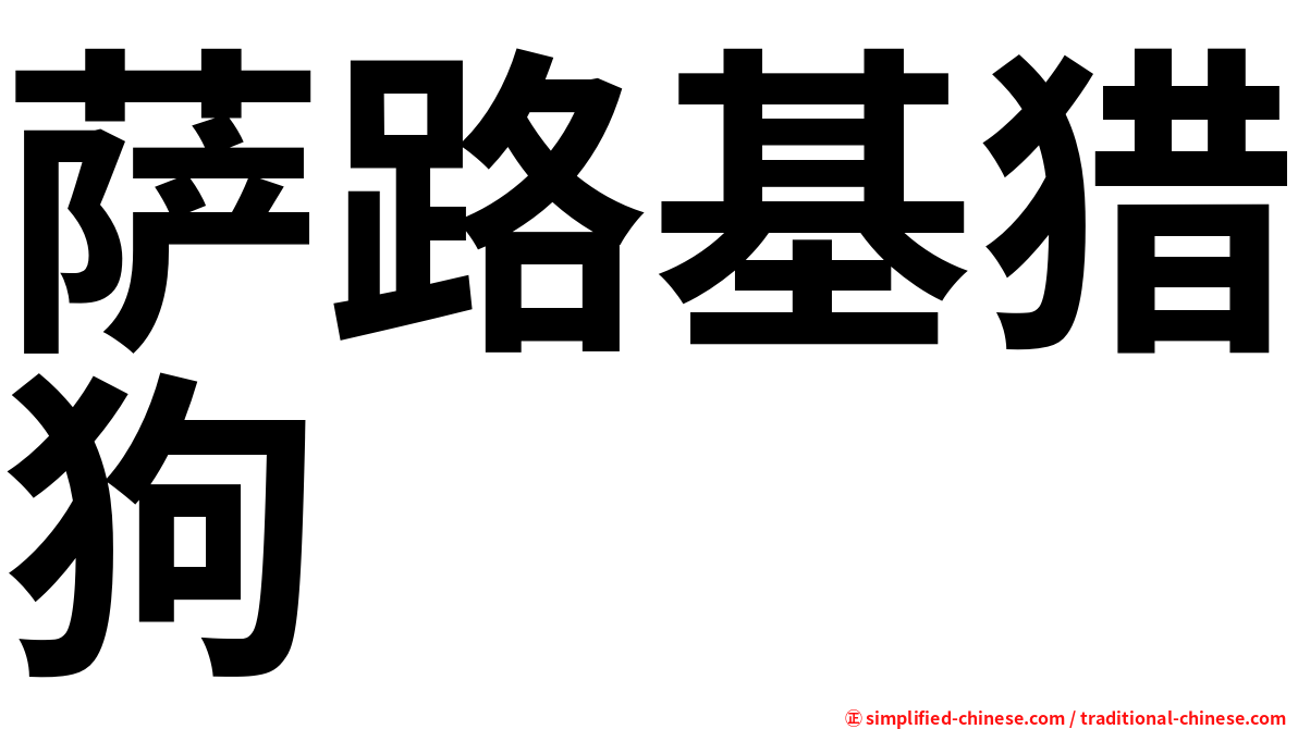 萨路基猎狗