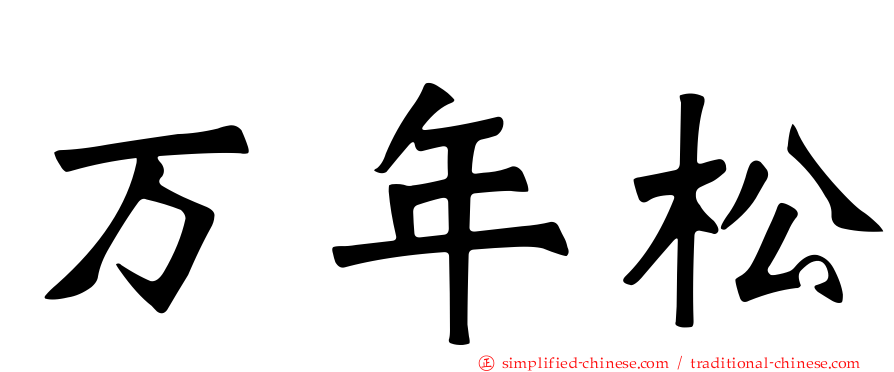 万年松