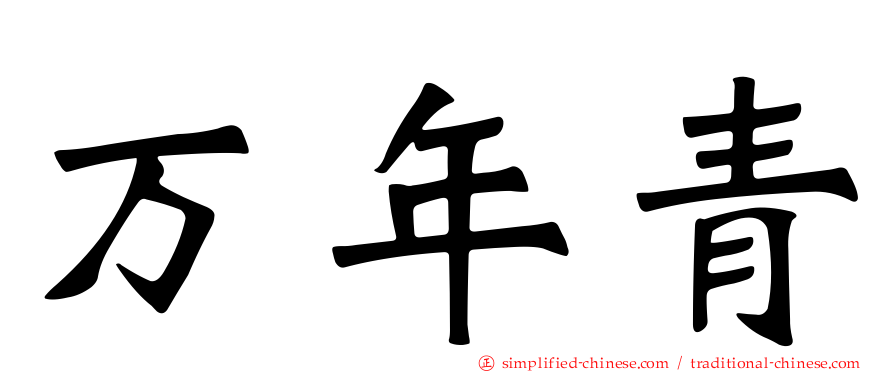 万年青