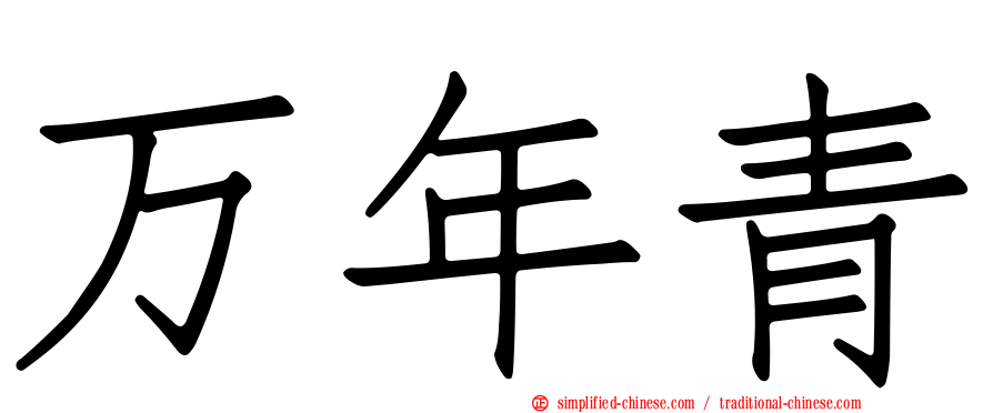 万年青