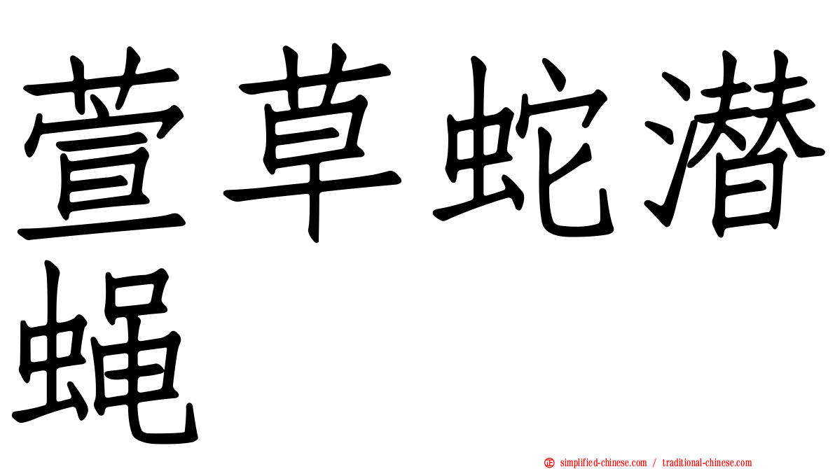 萱草蛇潜蝇