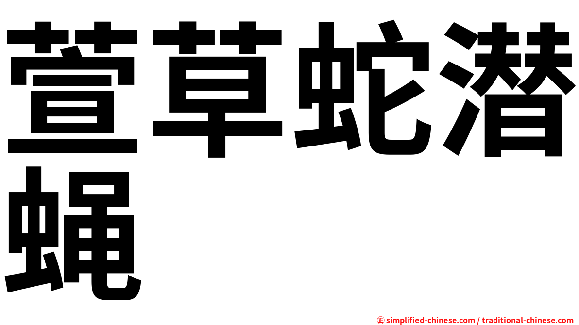 萱草蛇潜蝇