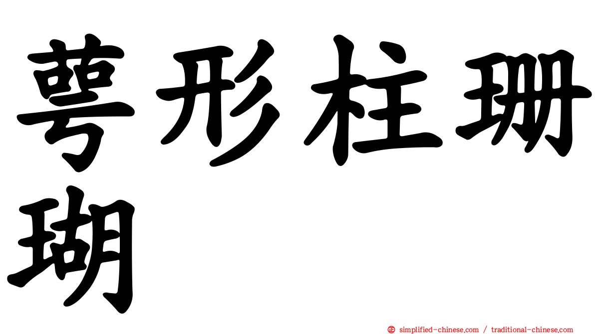 萼形柱珊瑚