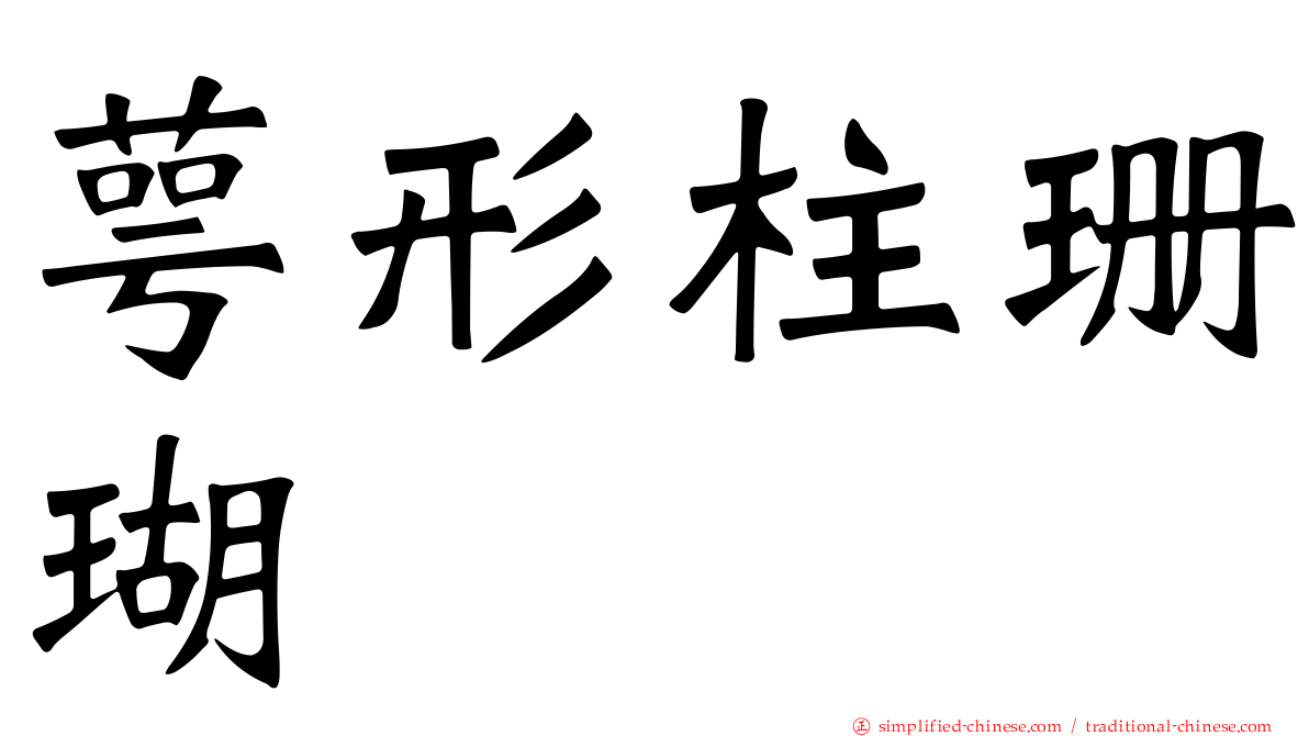 萼形柱珊瑚