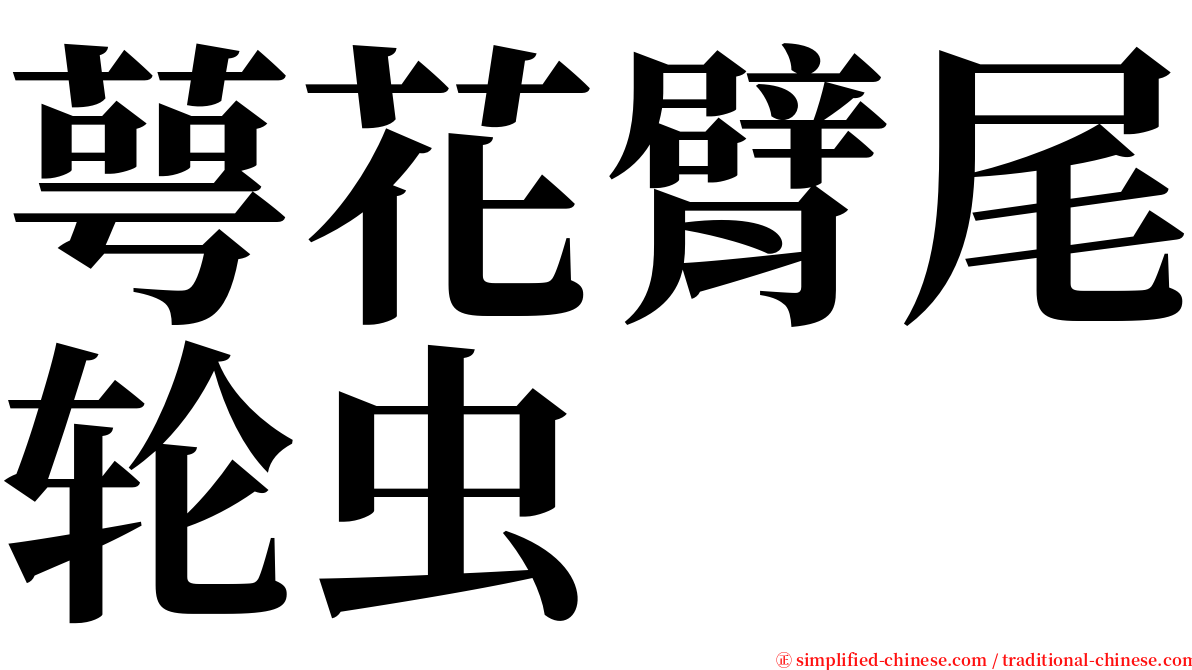 萼花臂尾轮虫 serif font