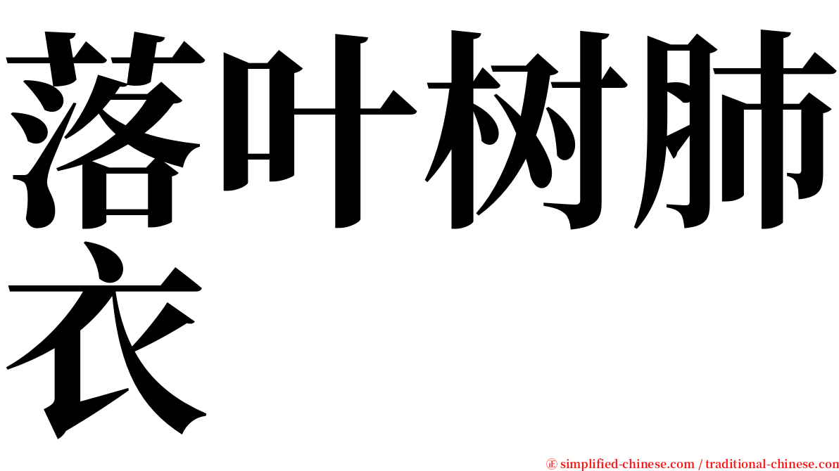 落叶树肺衣 serif font