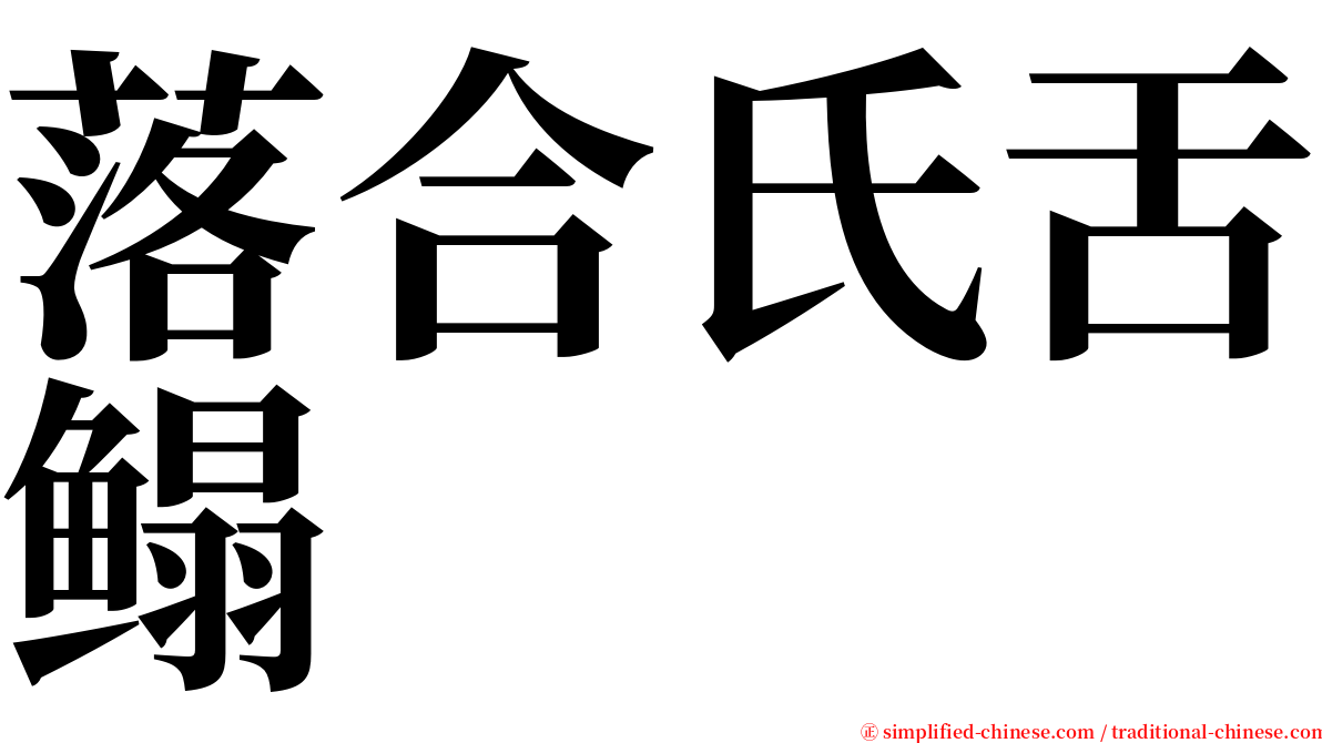 落合氏舌鳎 serif font