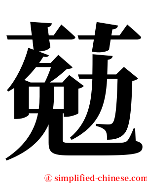 葂 serif font
