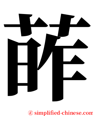 葃 serif font