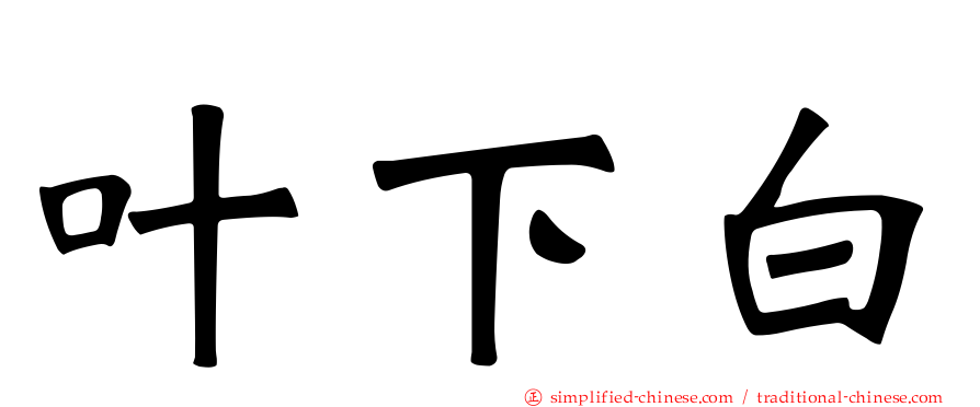 叶下白