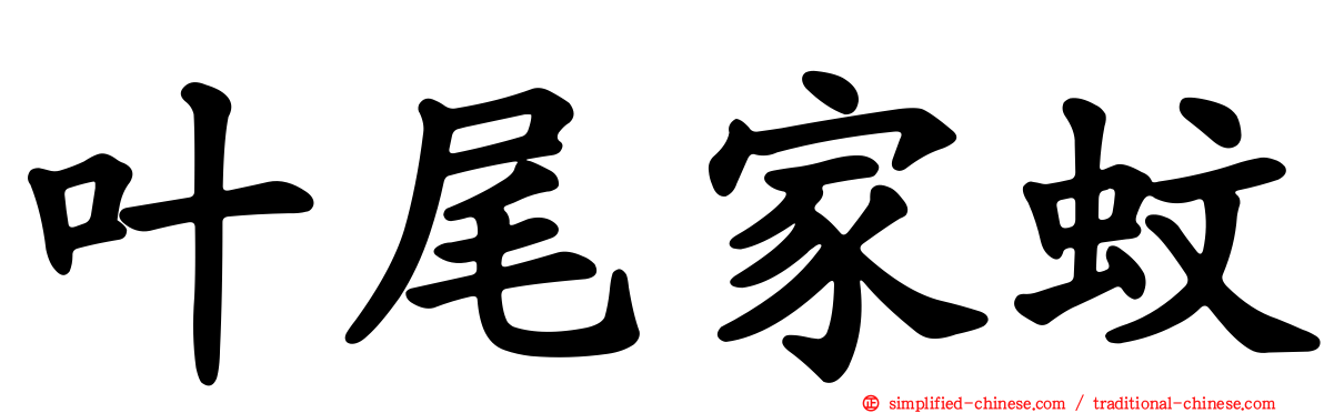 叶尾家蚊