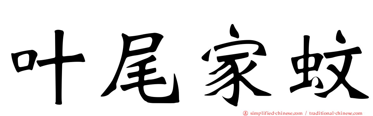 叶尾家蚊