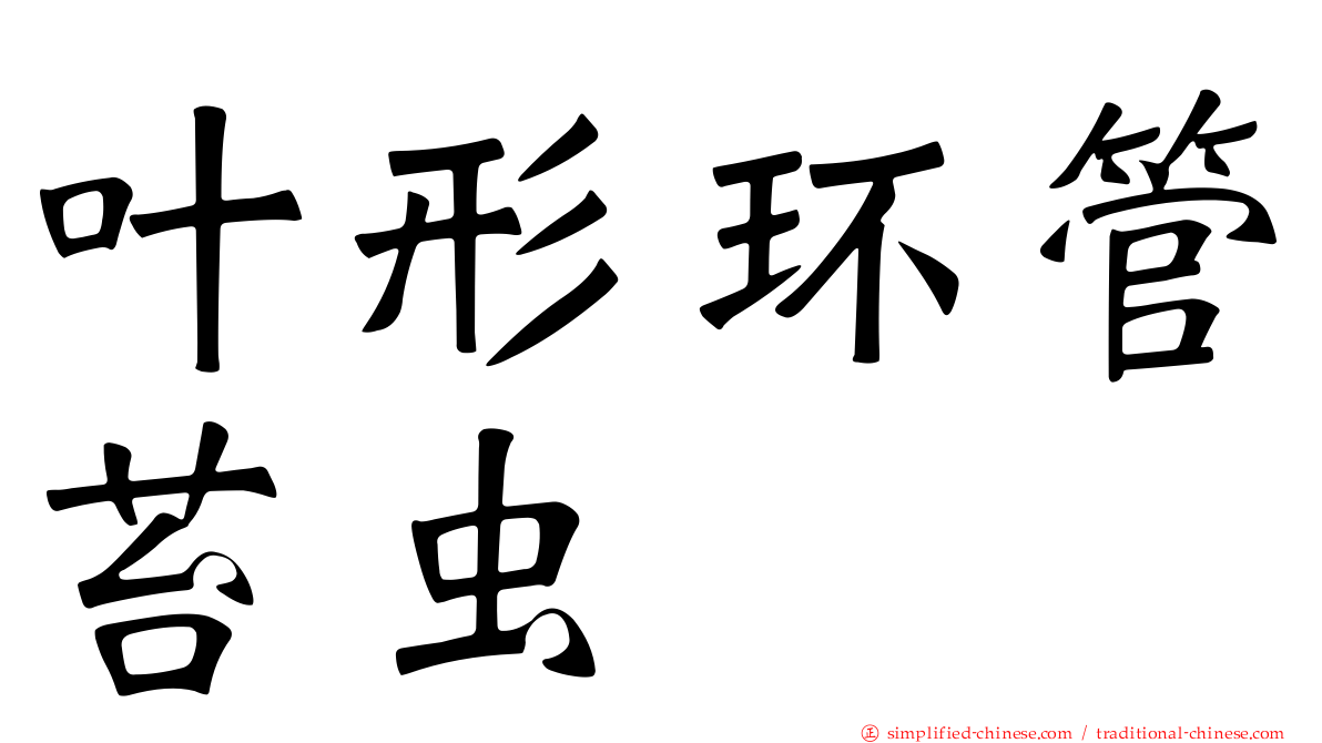 叶形环管苔虫
