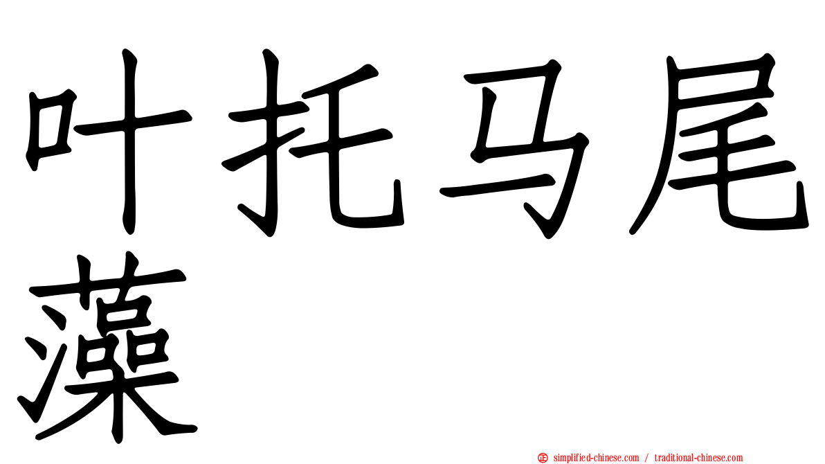 叶托马尾藻